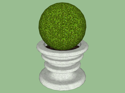 landscape potted plant