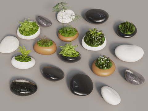 Moss Bonsai Pebbles