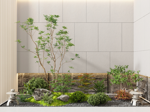 Modern Indoor Landscape Plant Landscape