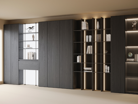 Modern full wall bookcase