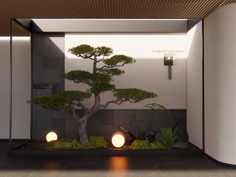 Indoor Landscape Plants