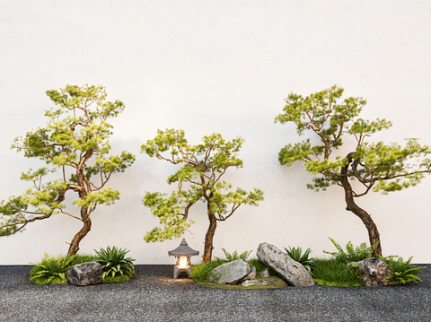 Chinese courtyard pine landscape stone