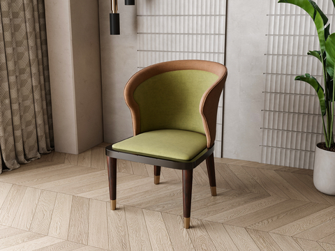 Nordic Chair Dining Chair