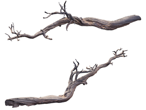 Dead Branch Decoration