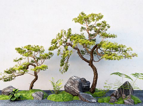 landscape modeling tree micro-topography