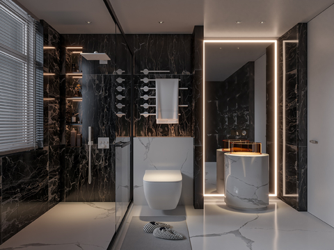 Modern Toilet Bathroom