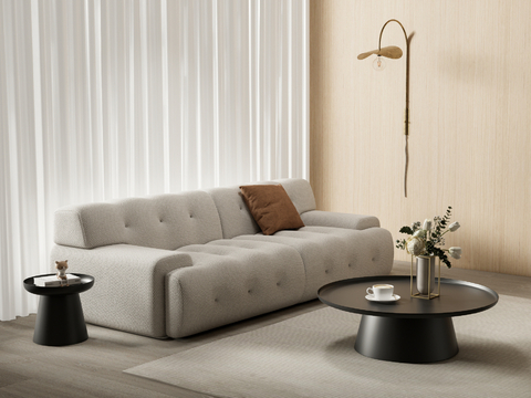 Ligne Roset modern double sofa