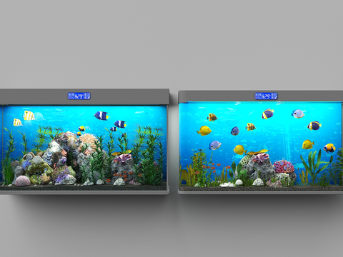 Modern fish tank aquarium