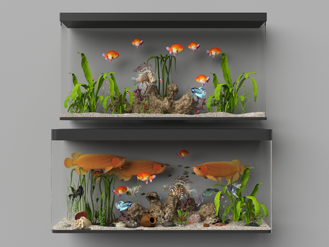 Modern fish tank aquarium