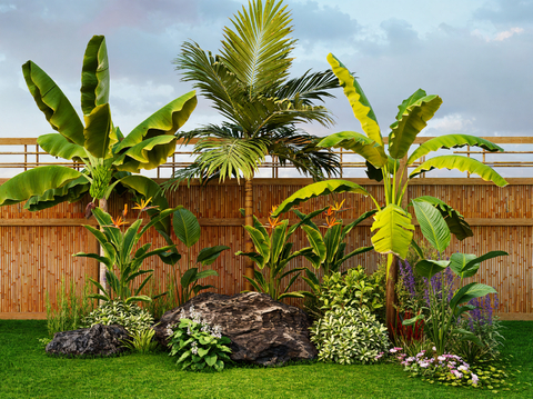 Landscape landscaping courtyard sketch