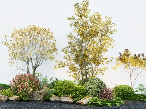 modern plant flower border tree shrub