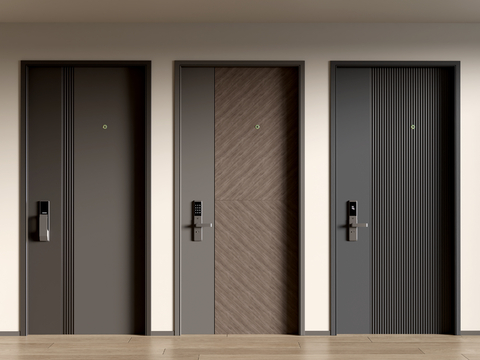 Modern double door entry door security door