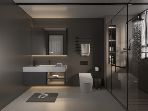 Modern Toilet Bathroom