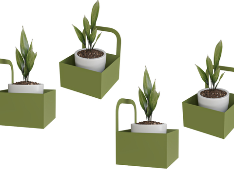 Modern Desktop Green Plant Potted Plant