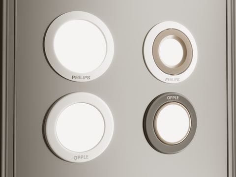 Modern Downlight