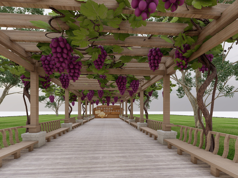 Vine Grape Porch Grape Flower Rack