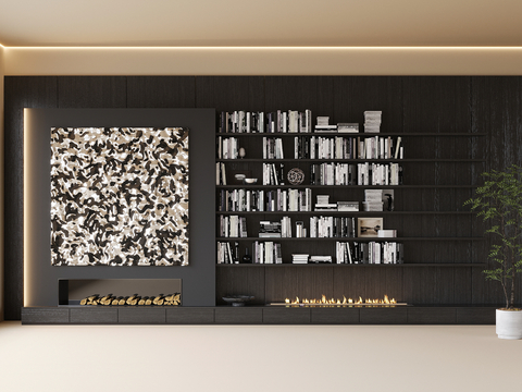 Modern Full Wall Bookcase Fireplace