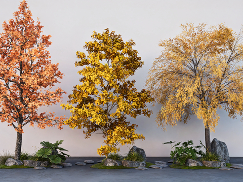 arbor ginkgo tree autumn landscape tree maple tree