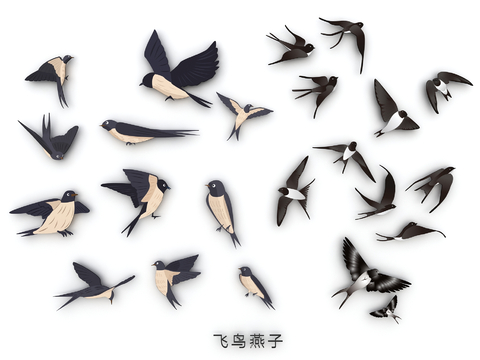 Spring Swallow Bird Wall Hand-painted Illustration