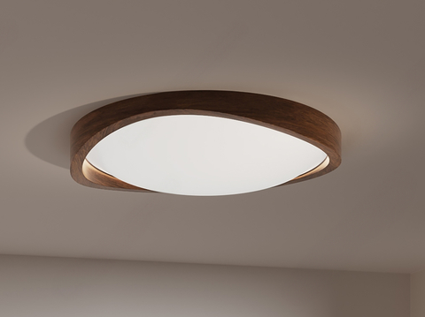 Quiet ceiling lamp