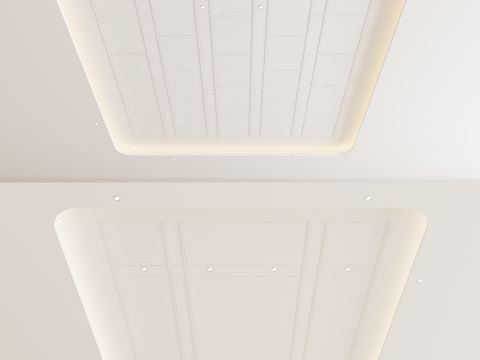 Modern Ceiling