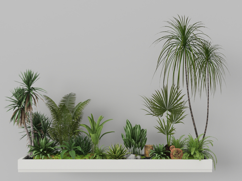 Indoor landscape landscaping plant pile