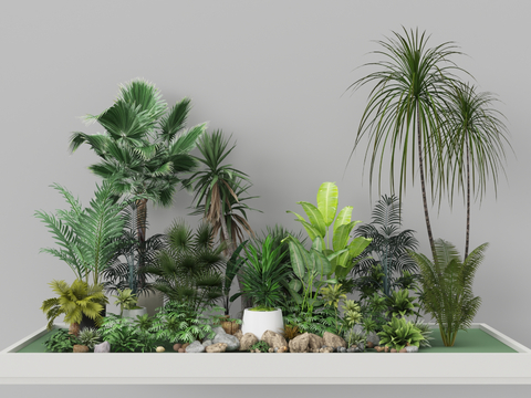 Indoor landscape landscaping plant pile