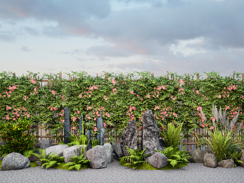 hedge climbing vine