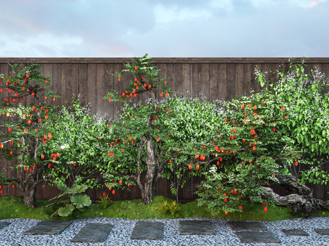 Courtyard Old Pile Fruit Tree Orange Tree