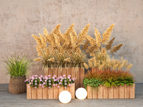 reed plant flower box wheat ear plant pile