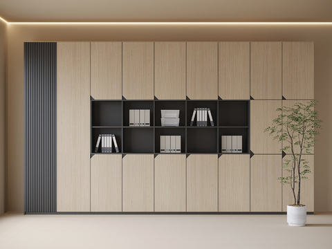 Modern Office File Cabinet Locker Bookcase