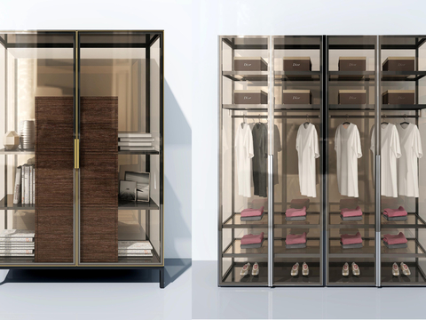 Modern glass wardrobe