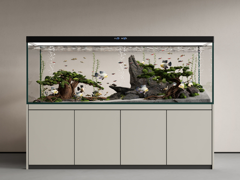 Modern fish tank aquarium