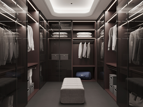 Modern Cloakroom