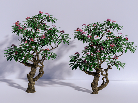 Modern Landscape Tree Egg Flower Model Tree Arbor