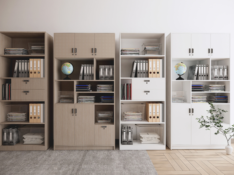 Modern File Cabinet Locker File Cabinet