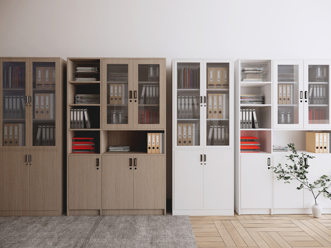 Modern File Cabinet Locker File Cabinet