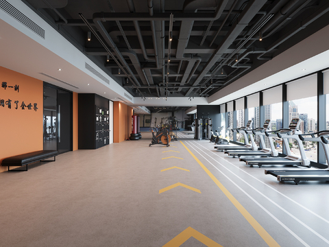 Modern Gym