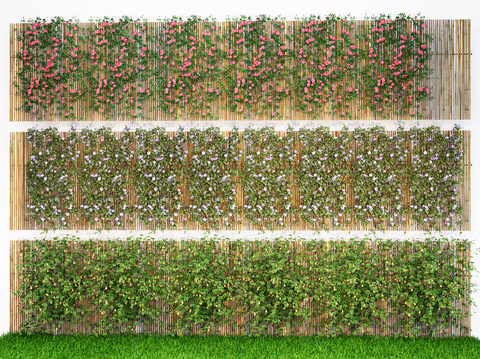 Vine Plants Flowers Creeper Wall Creeper