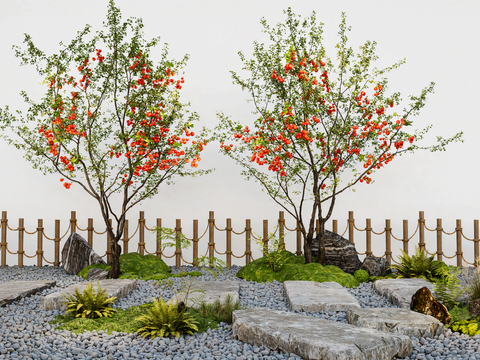 apple tree courtyard tree landscape tree micro terrain