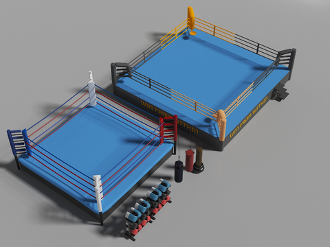 Modern boxing ring