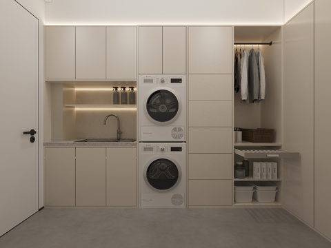 Modern Toilet Laundry Room