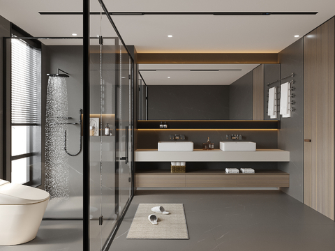 Modern Toilet Bathroom