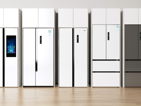 Modern refrigerator with door refrigerator