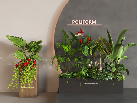 Green Plant Potted Plant Mobile Flower Pond