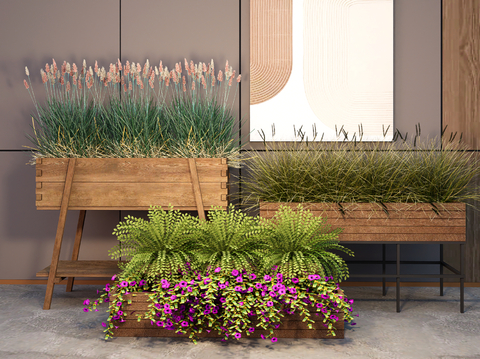 Plant Flower Box Flower Groove Flower Bowl