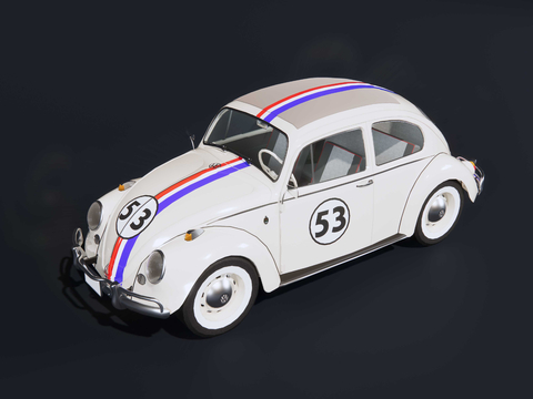 Volkswagen Beetle Beetle Racing Paint