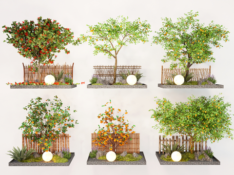 Lemon Tree Orange Tree Fruit Tree Landscape Tree