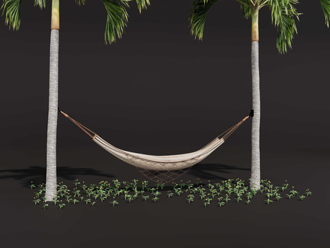 Modern Hammock Outdoor Hammock