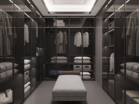 Modern Cloakroom